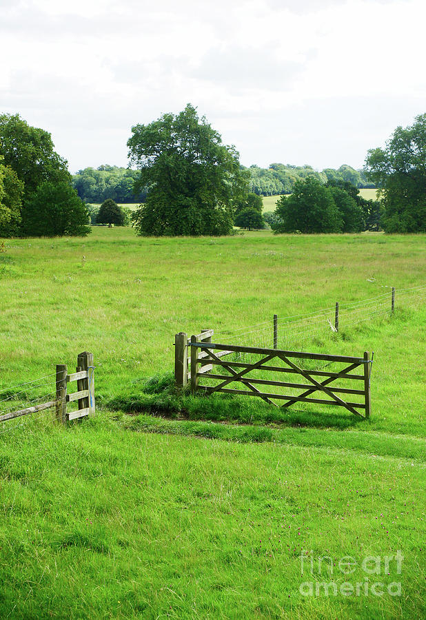 Gate in a meadow #1 Photograph by Tom Gowanlock