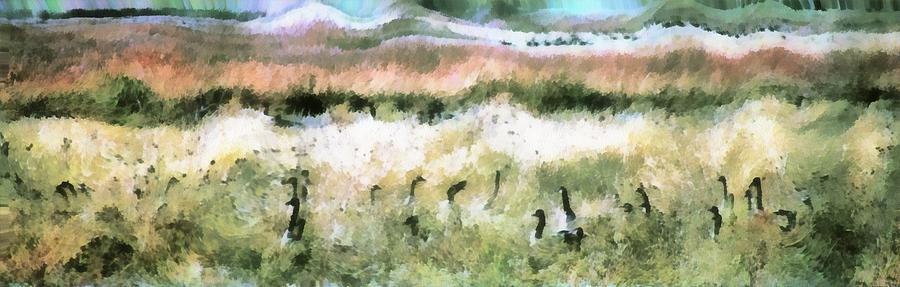 Geese In Grass #1 Photograph by Jim Proctor