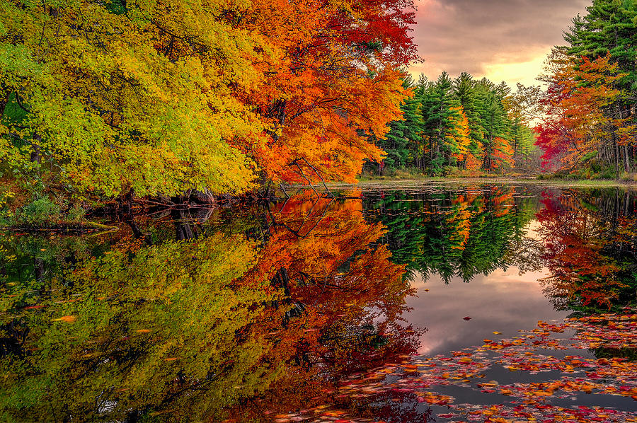 Gemini Fall Photograph by Thomas Gaitley - Fine Art America