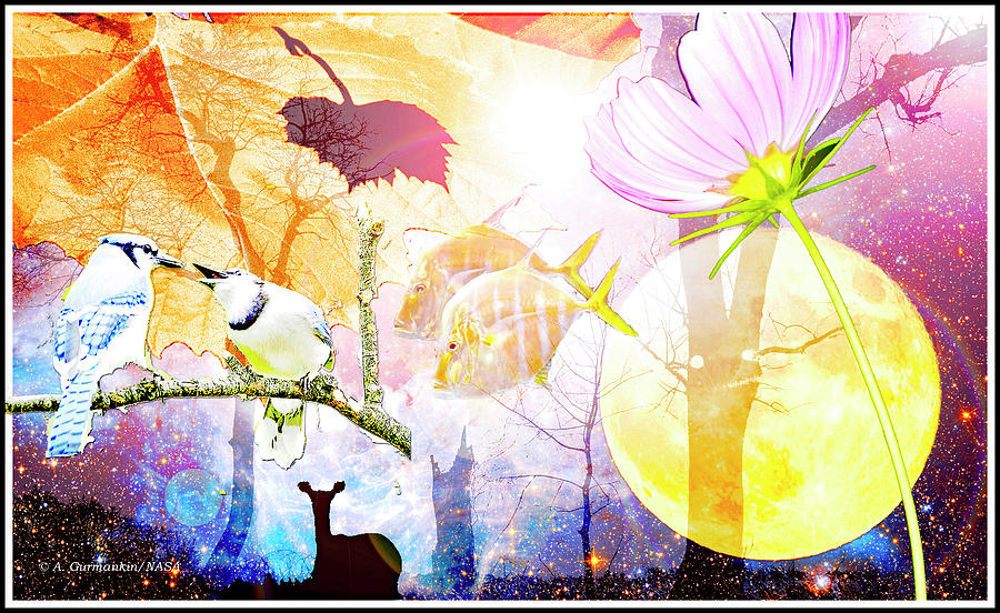 Genesis Collage #1 Digital Art by A Macarthur Gurmankin