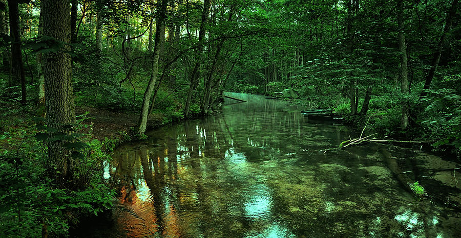 Gentle Stream Photograph by Mountain Dreams - Fine Art America