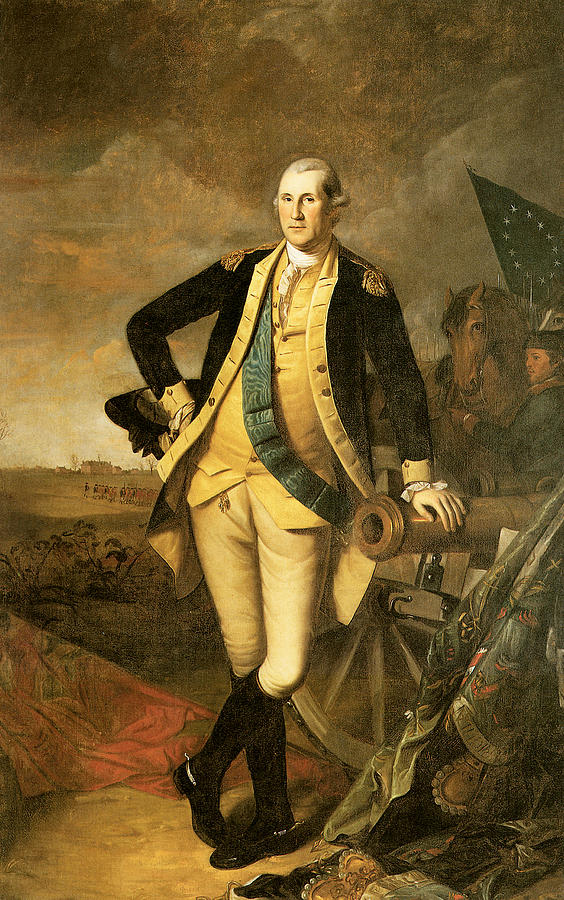 George Washington At Princeton Painting