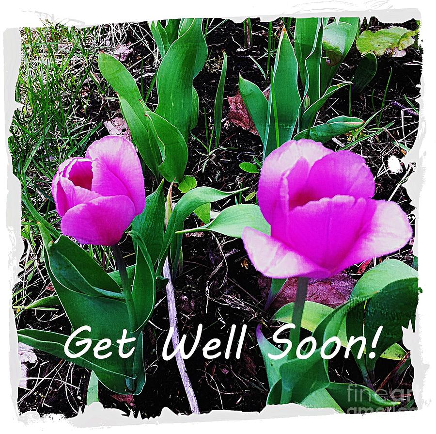 Get Well Soon Photograph by Barbara A Griffin - Fine Art America