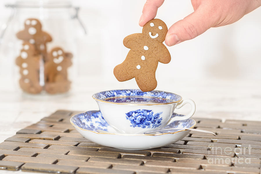 https://images.fineartamerica.com/images/artworkimages/mediumlarge/1/1-gingerbread-in-teacup-amanda-and-christopher-elwell.jpg