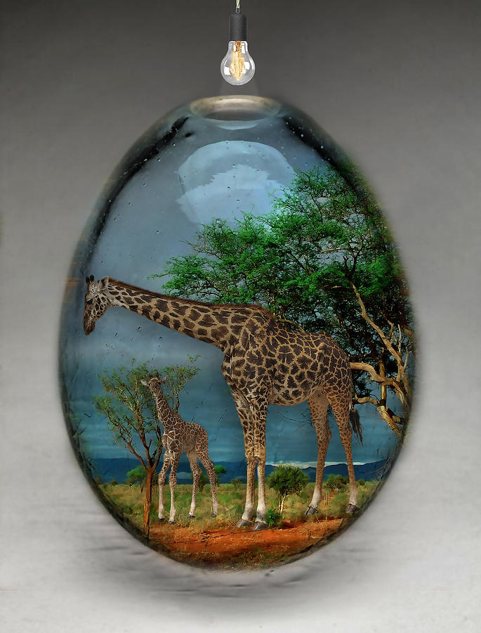 Giraffe Art #1 Mixed Media by Marvin Blaine