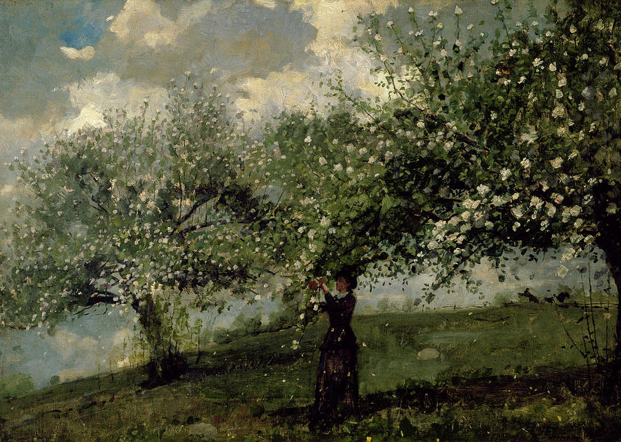 Winslow Homer Painting - Girl Picking Apple Blossoms #1 by Winslow Homer