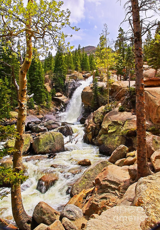 Rocky Mountain National Park Photograph - Glacier Creek And Alberta Falls #1 by Rich Walter