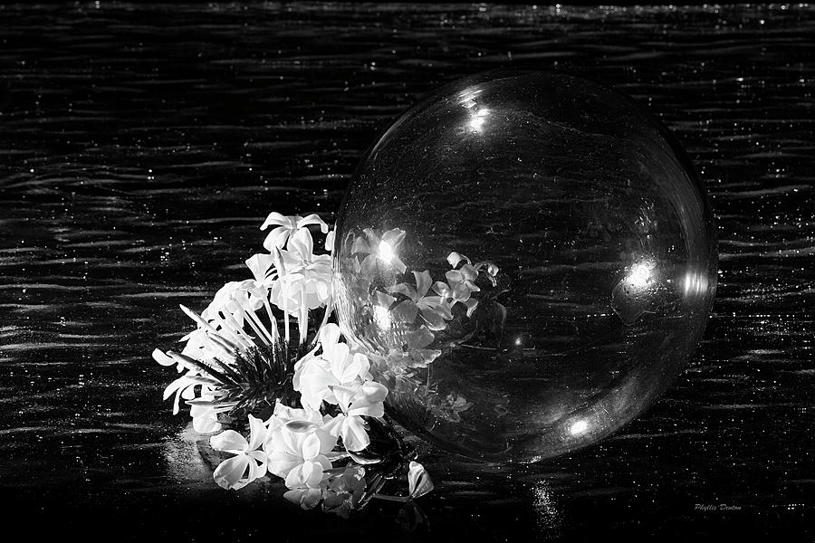 Glass Bubble #1 Photograph by Phyllis Denton