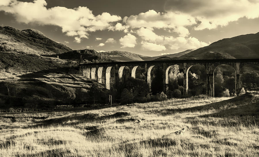 Glenfinnan Viaduct, Scotland #1 Photograph by Mountain Dreams