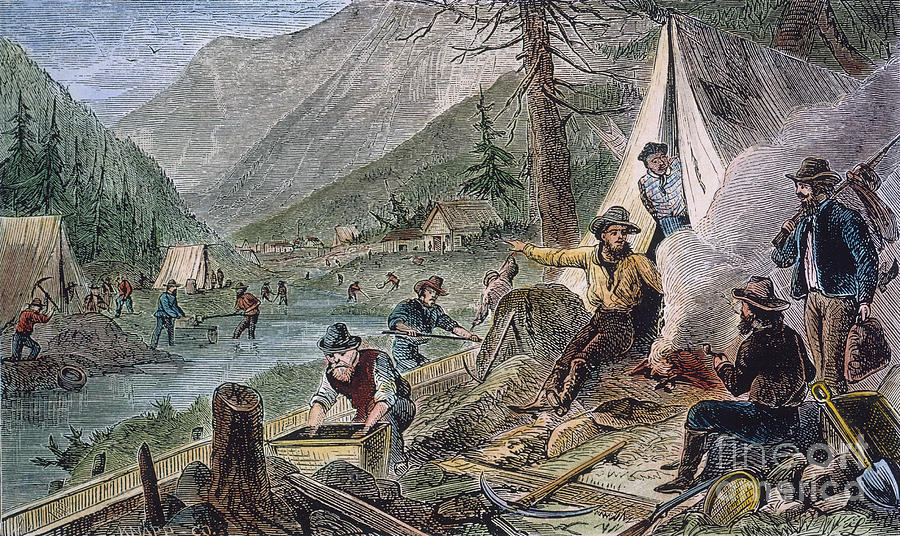 Gold Mining, 1853 #1 Photograph by Granger