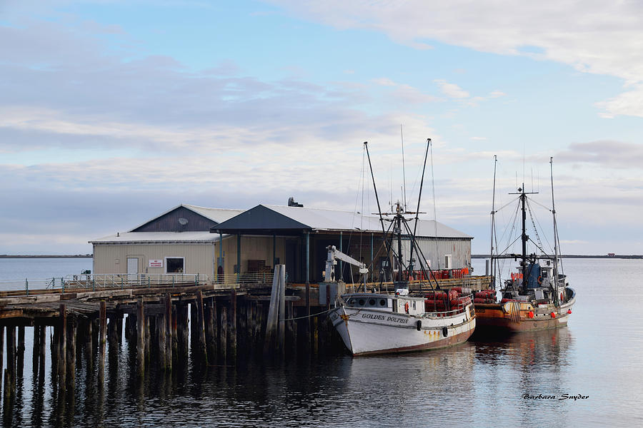 Golden Dolphin Eel Fishing Boat Port Angeles Washington #1 Photograph by Barbara Snyder