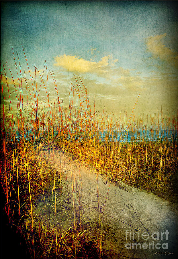 Golden Dune #1 Photograph by Linda Olsen