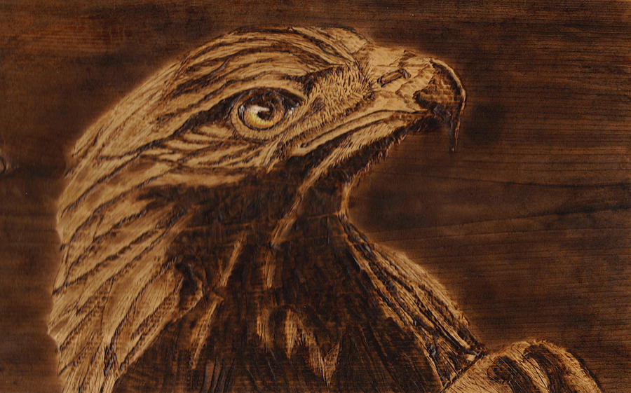 Golden Eagle Pyrography By Jay Johnston Fine Art America