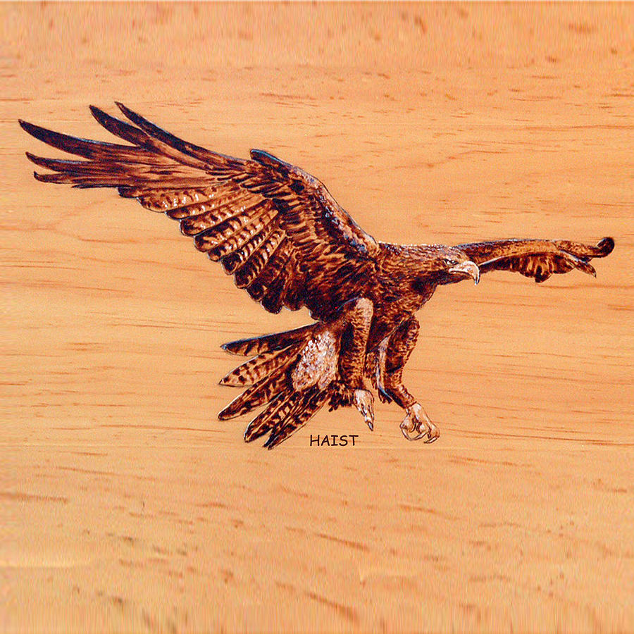 Golden Eagle #3 Pyrography by Ron Haist