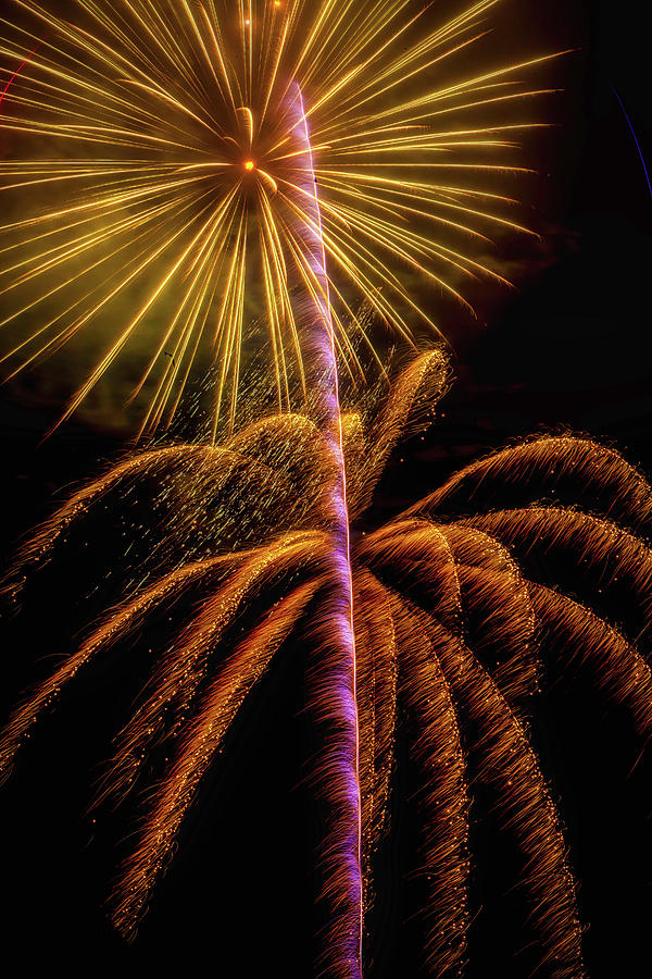 Golden Fireworks #1 Photograph by Garry Gay