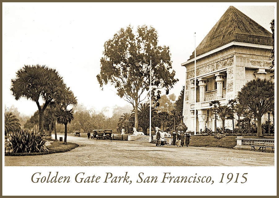 Golden Gate Park, San Francisco, 1915, Vintage Photograph #1 Photograph by A Macarthur Gurmankin