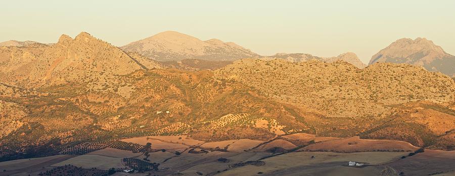 Golden Light in Andalusia #2 Photograph by Stephen Taylor