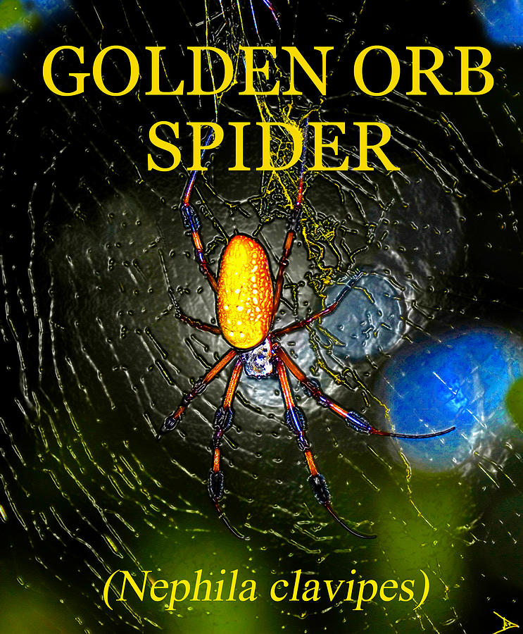 Golden Orb Spider #1 Painting by David Lee Thompson