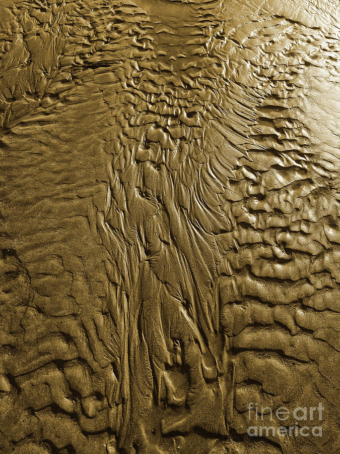 Golden Sand #1 Photograph by Nicholas Burningham