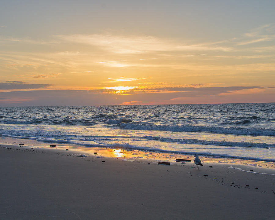 Golden Sunrise Photograph by Barbara Blanchard | Fine Art America