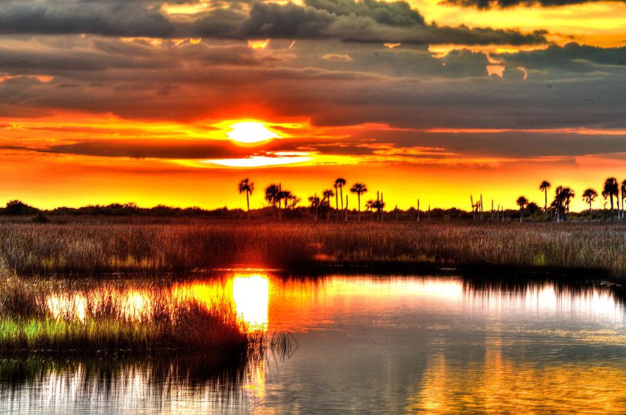 Golden Sunset Reflections #1 Photograph by Richard Zentner