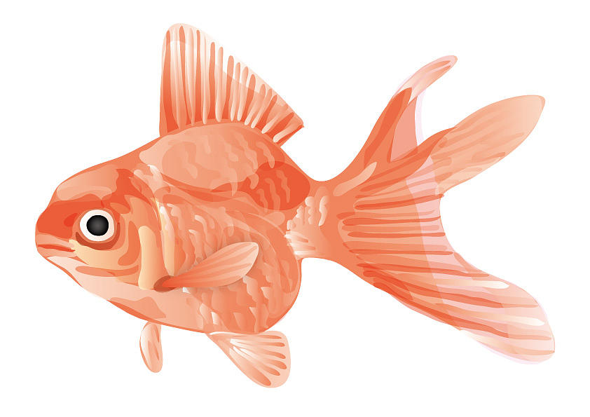 Goldfish #1 Digital Art by Moto-hal