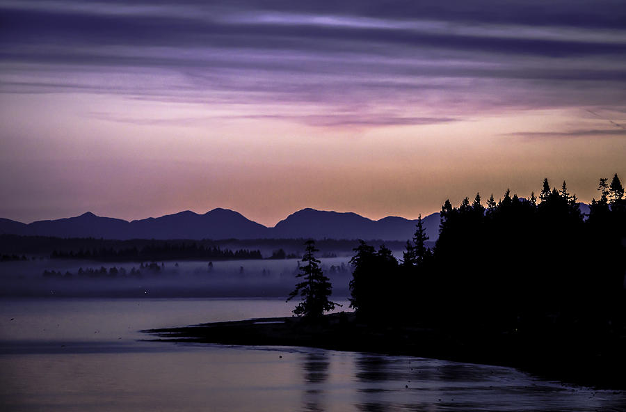 Washington Photograph - Good Morning by Blanca Braun Washington Photograph - Good Morning by Blanca Braun