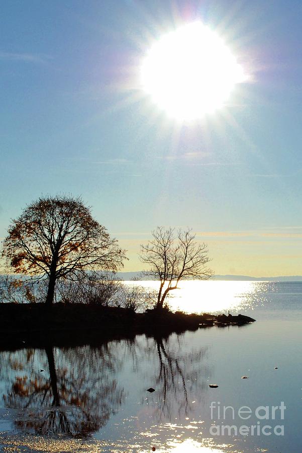 Good Morning Sunshine #1 Photograph by Jeannie Allerton