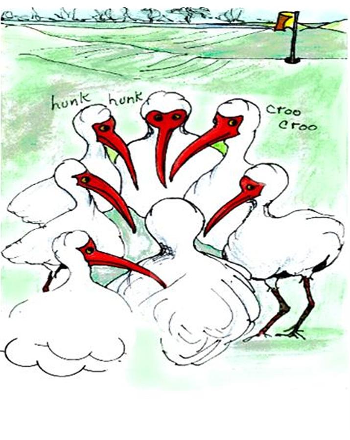 Gossiping ibis #1 Drawing by Carol Allen Anfinsen