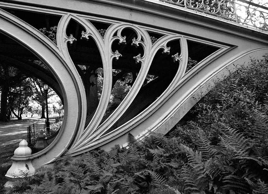 Gothic Bridge #1 Photograph by Cornelis Verwaal