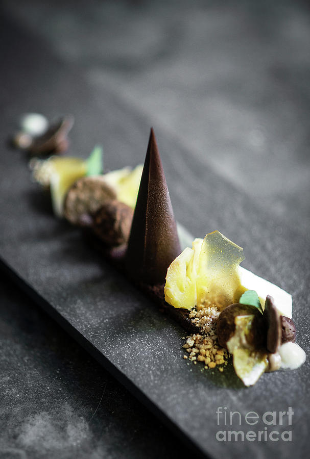 Gourmet Modern Deconstructed Chocolate Cake And Dried Fruit Dess #1 Photograph by JM Travel Photography