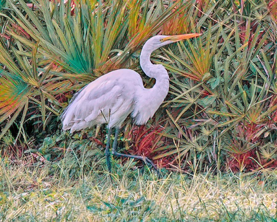 Grace in the Glades #1 Painting by Judy Kay
