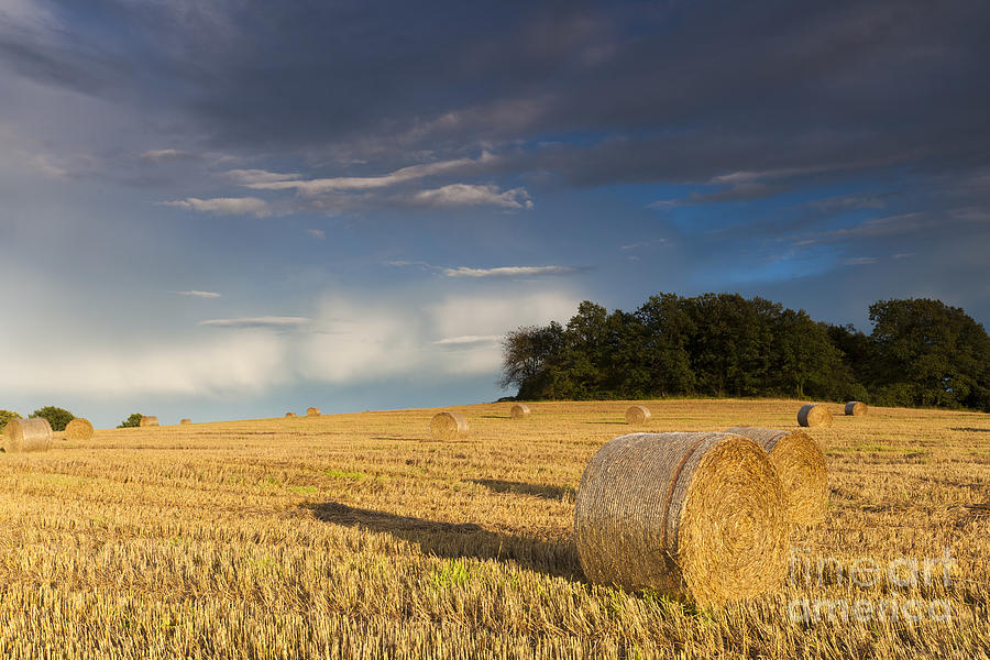 Grain Field With Bales #1 Photograph by Falk Herrmann