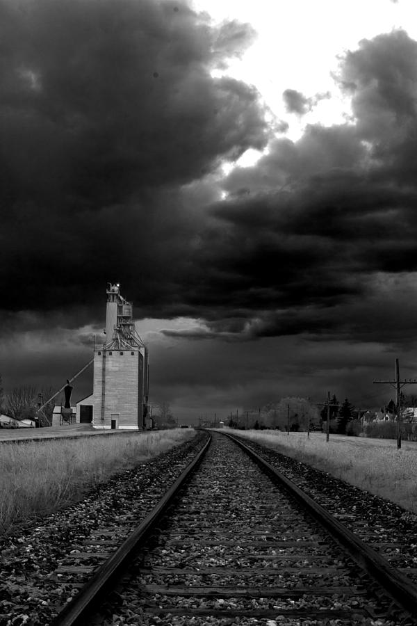 Grain train #1 Photograph by David Matthews