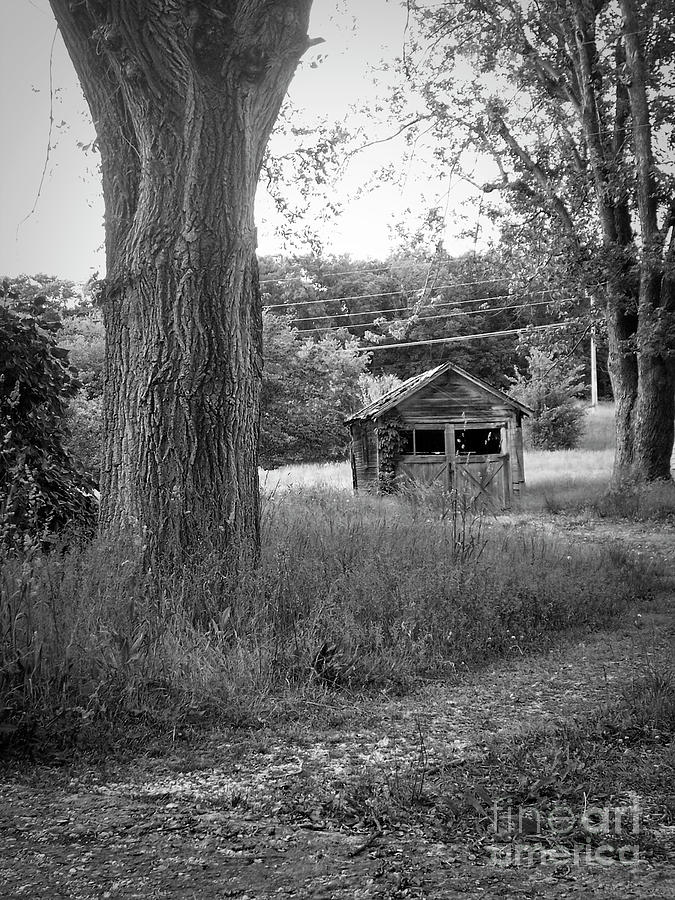 Black Photograph - Grammas Shed #1 by Jenness Asby