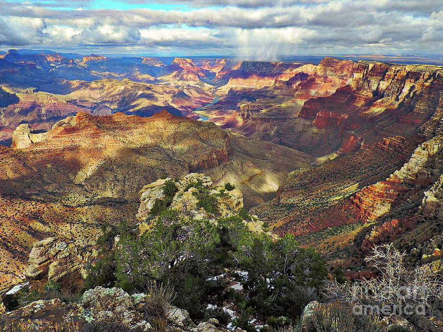 Grand Canyon 1 #1 Photograph by Mim White