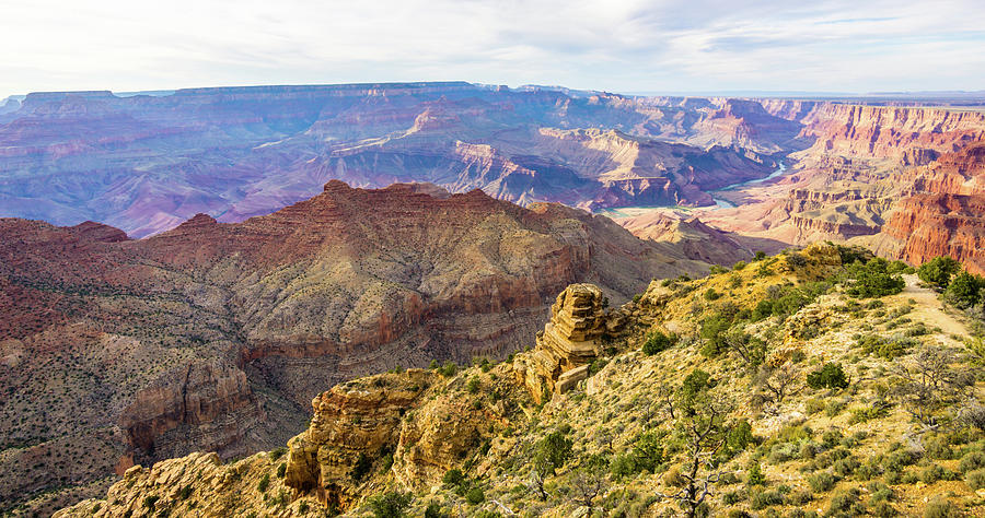 Grand Canyon #1 Photograph by Asif Islam
