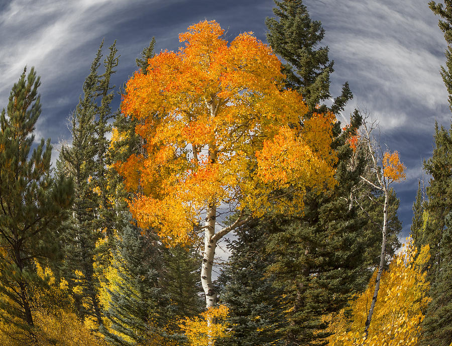 Grand Canyon Autumn Photograph by Michael Just - Fine Art America