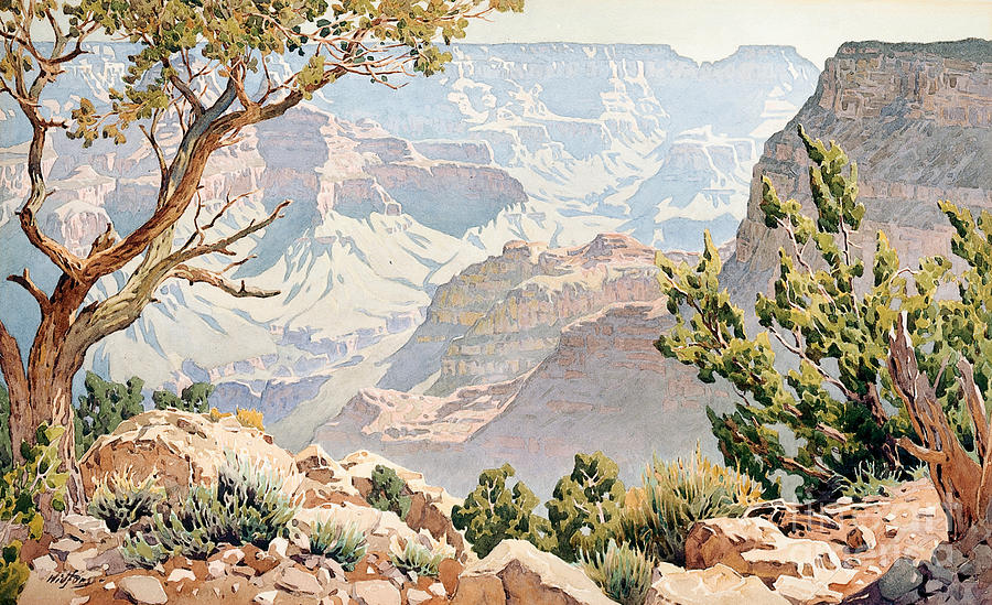 Gunnar Widforss Painting - Grand Canyon by Gunnar Widforss