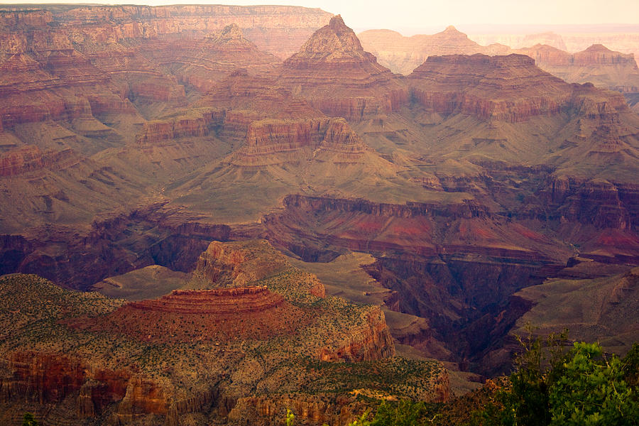 Grand Canyon #1 Photograph by James BO Insogna
