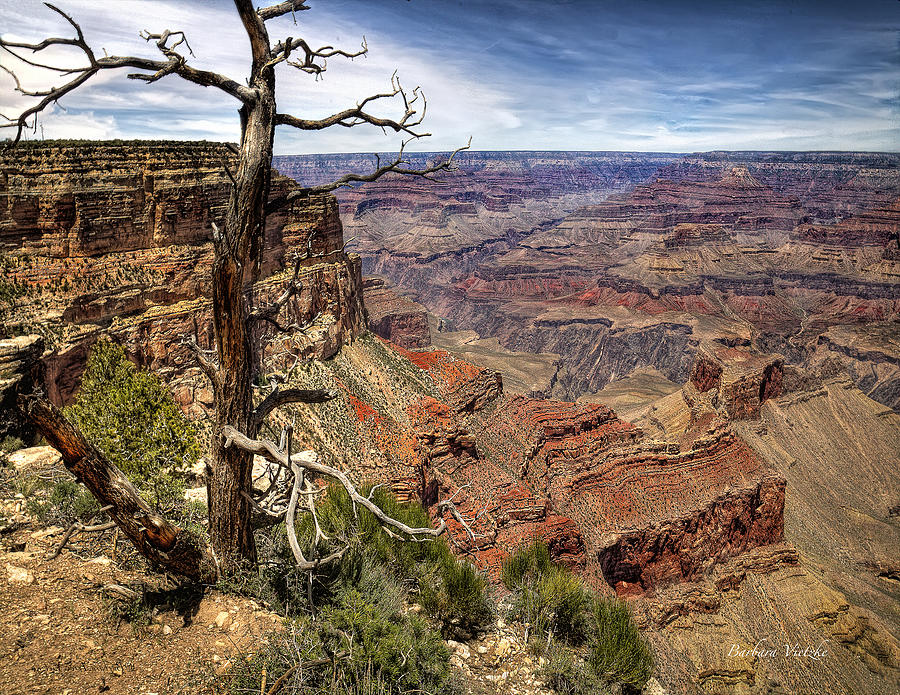 Grand Canyon National Park Photograph - Grand Canyon National Park #1 by Barbara Vietzke