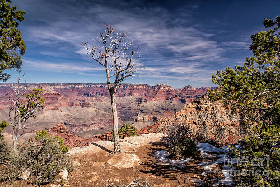 Grand Canyon #1 Photograph by Timothy Hacker