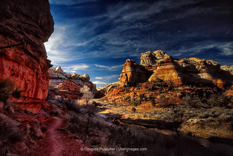 Grand Staircase-Escalante National Monument #1 Photograph by Douglas Pulsipher