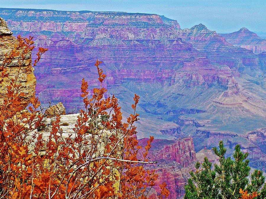 Grandview Trail View on East Side of South Rim of Grand Canyon National Park-Arizona #1 Photograph by Ruth Hager