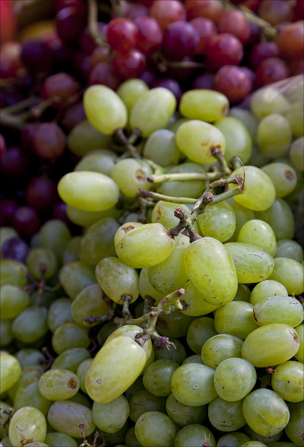 Grapes #1 Photograph by Robert Ullmann