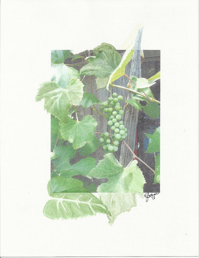Grapevine on a Fence #1 Painting by Elise Boam