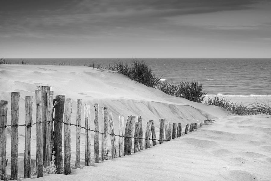 Grassy sand dunes landscape at sunrise in black and white Photograph by ...