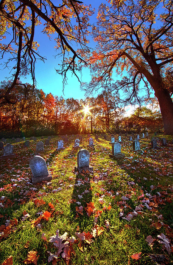 Grave Matters #1 Photograph by Phil Koch