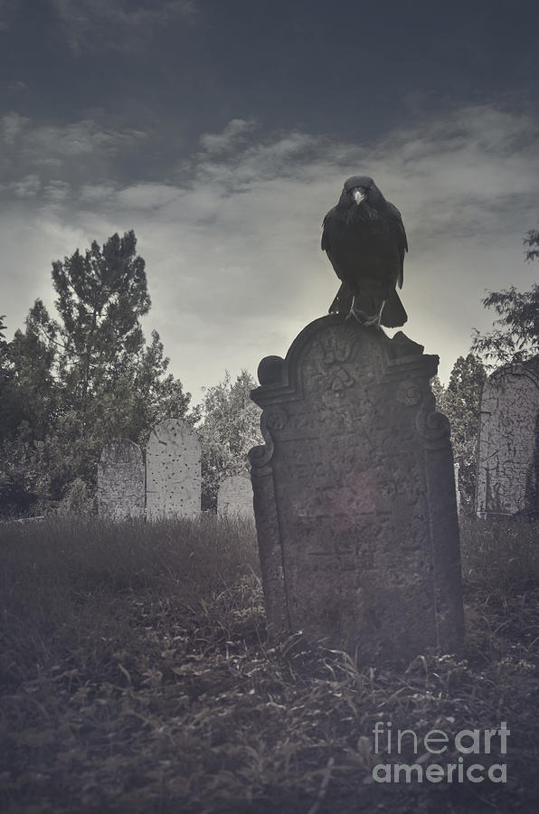 Graveyard Photograph by Jelena Jovanovic
