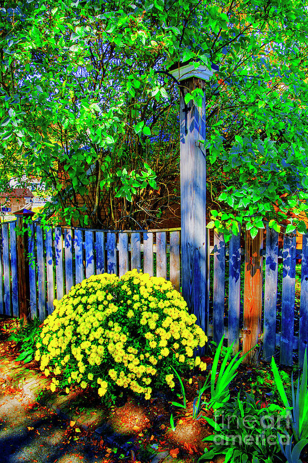 Gray Fence #1 Photograph by Rick Bragan
